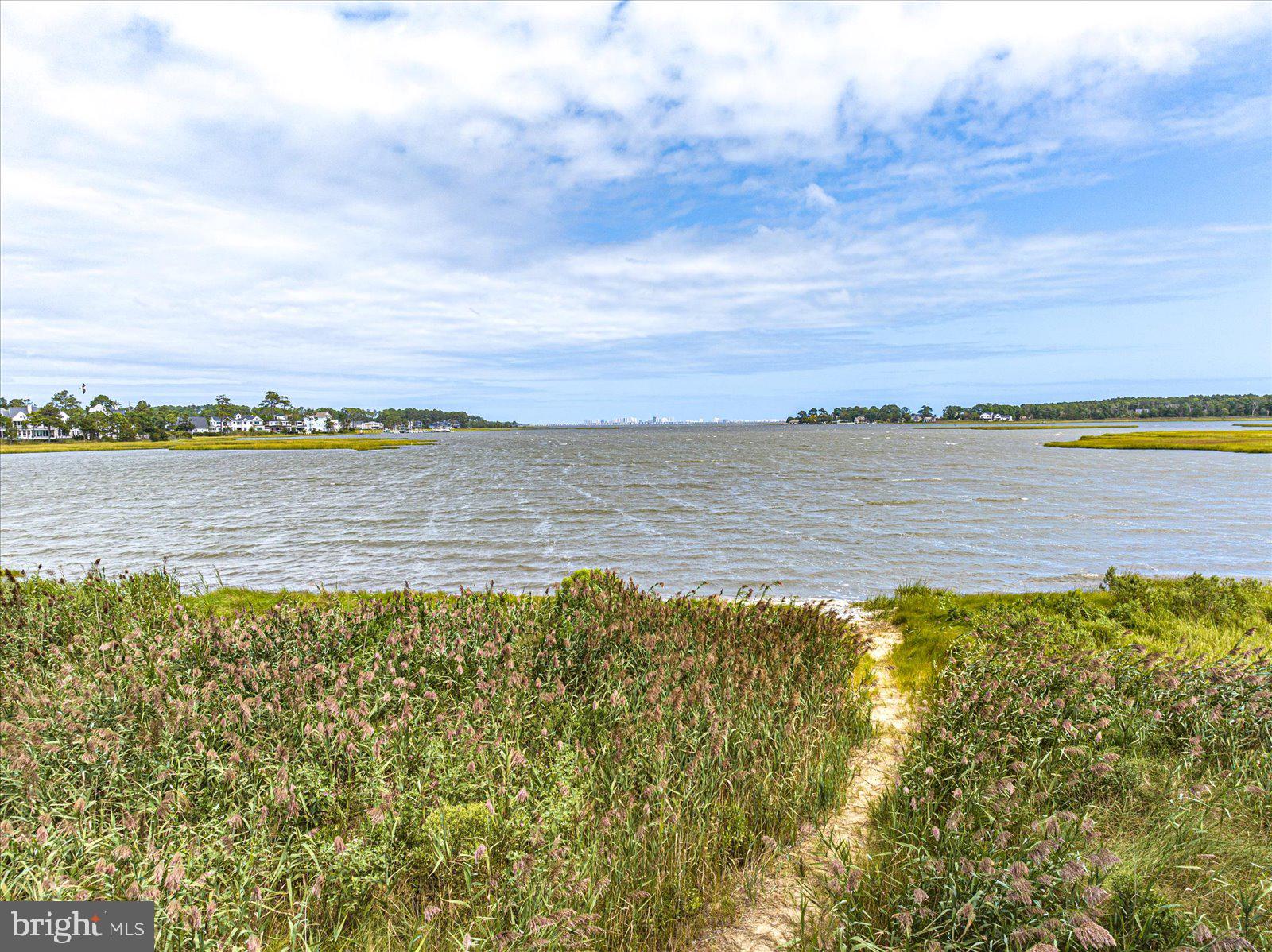 a view of an ocean and beach