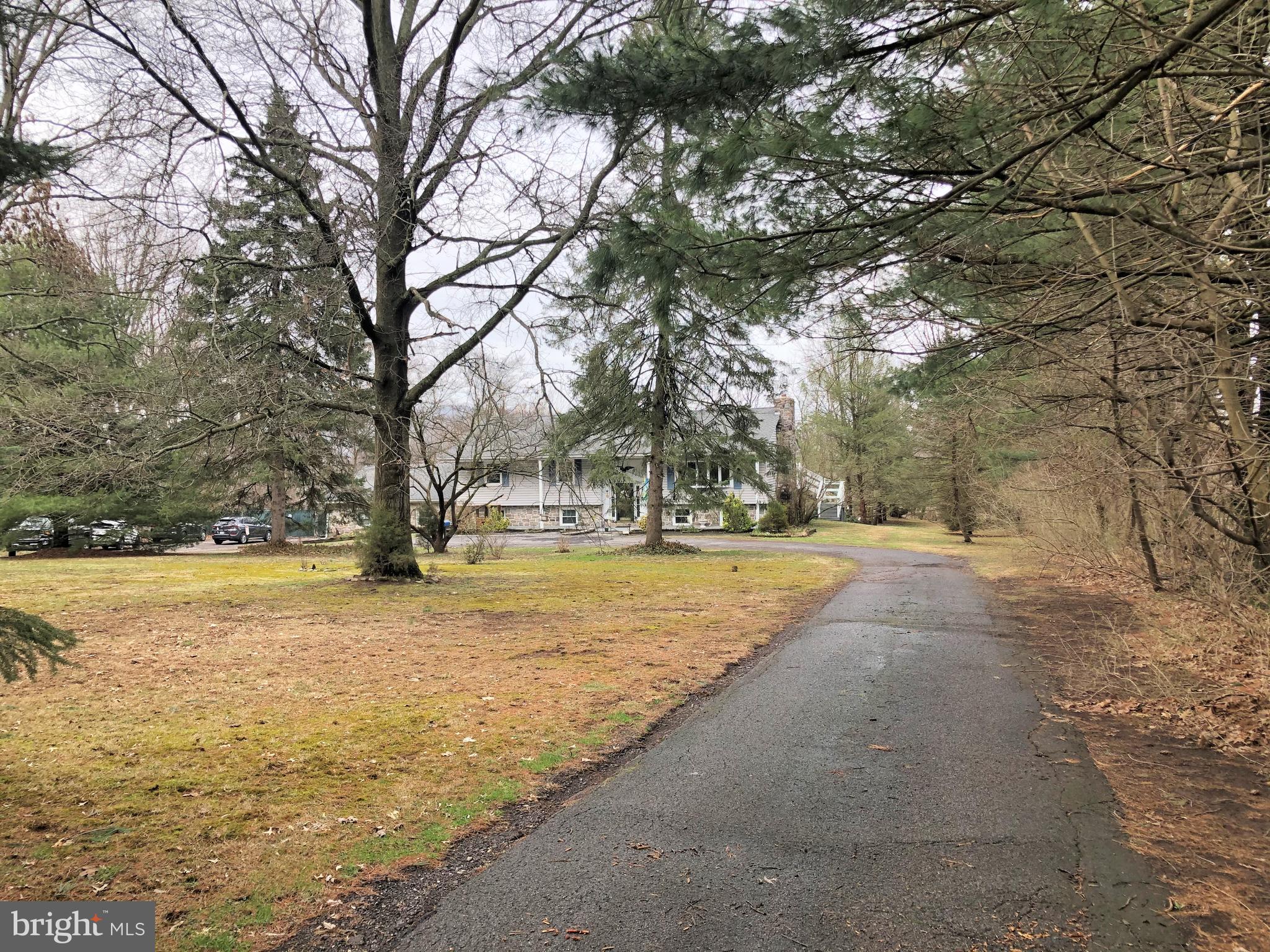 a view of yard with large trees