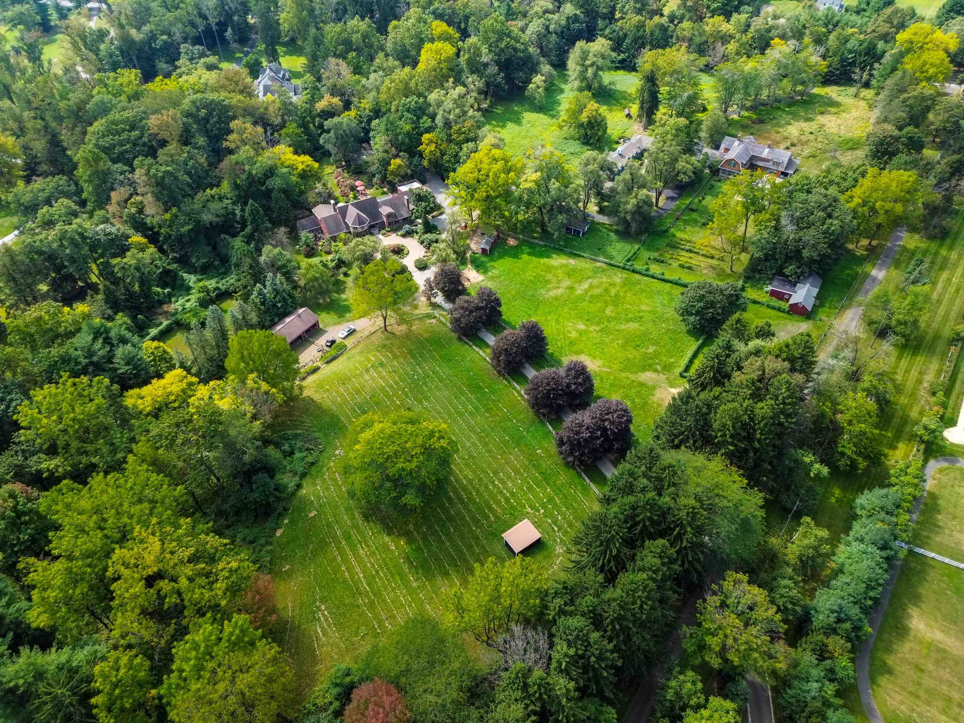 a view of a garden