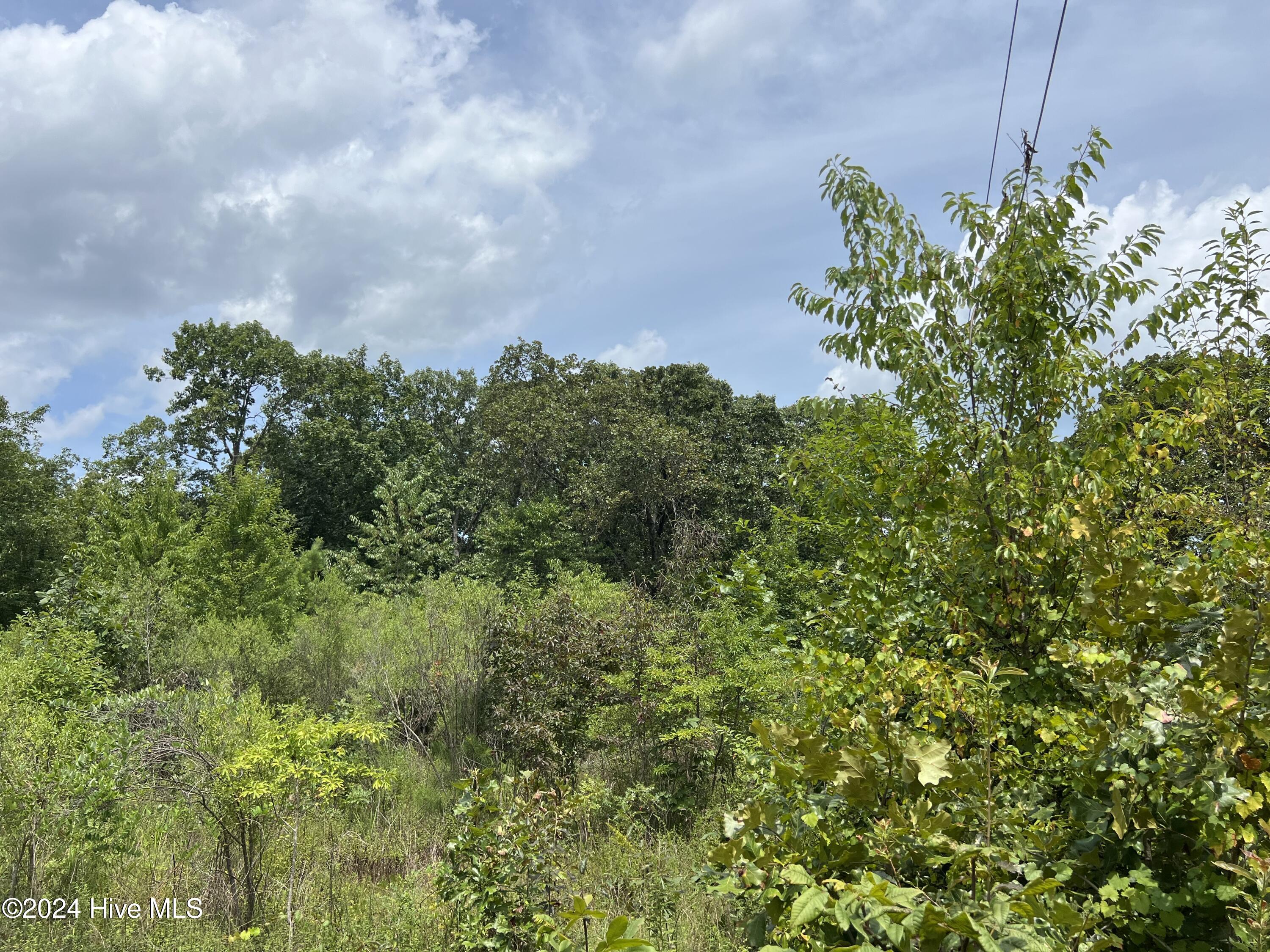 Beautiful lot with trees