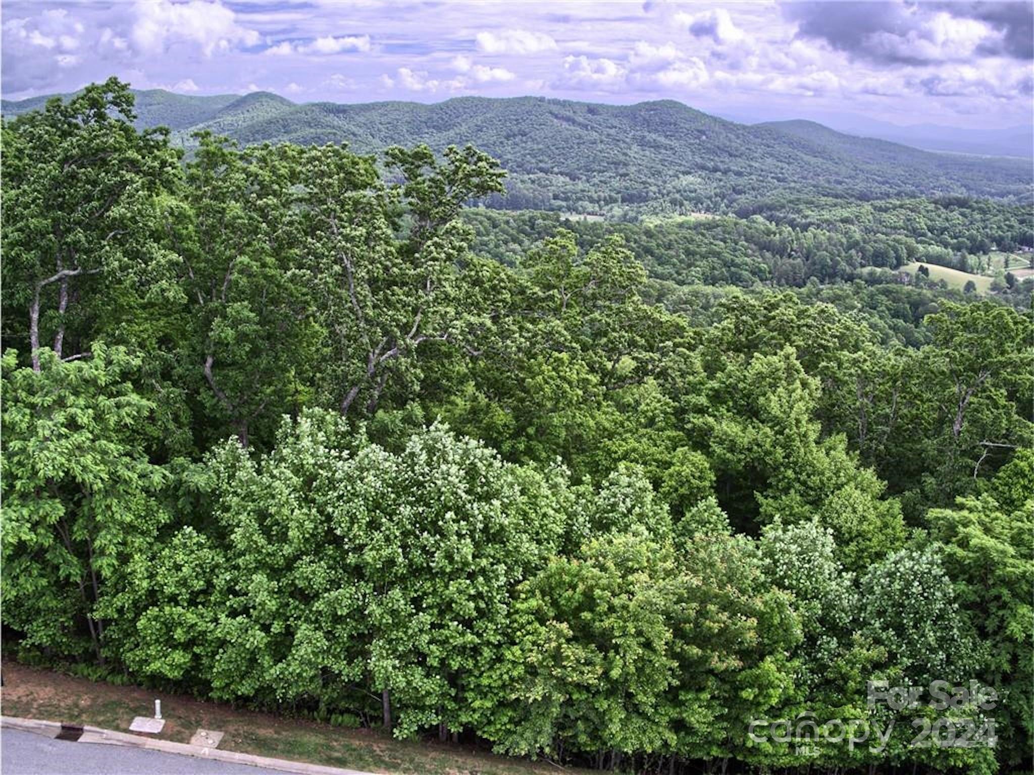 an aerial view of a houses with a lush green hillside