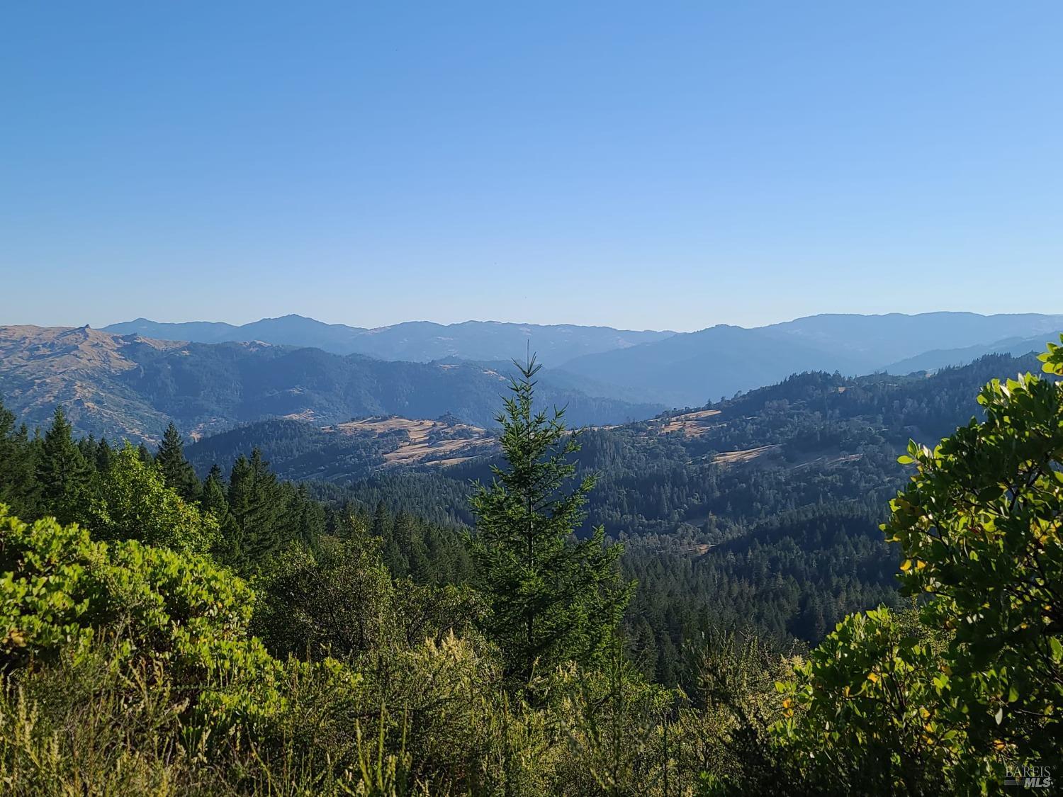 a view of a lush green field with mountains in the background