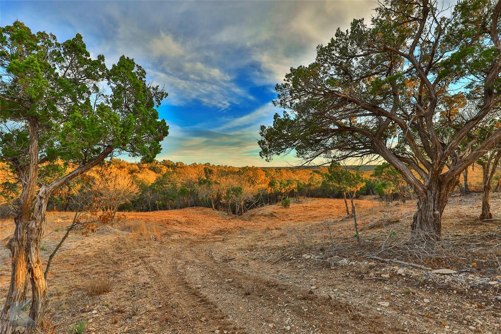 a view of dirt yard with a tree