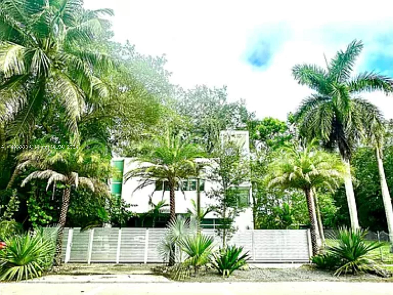 a view of a yard with plants and palm trees