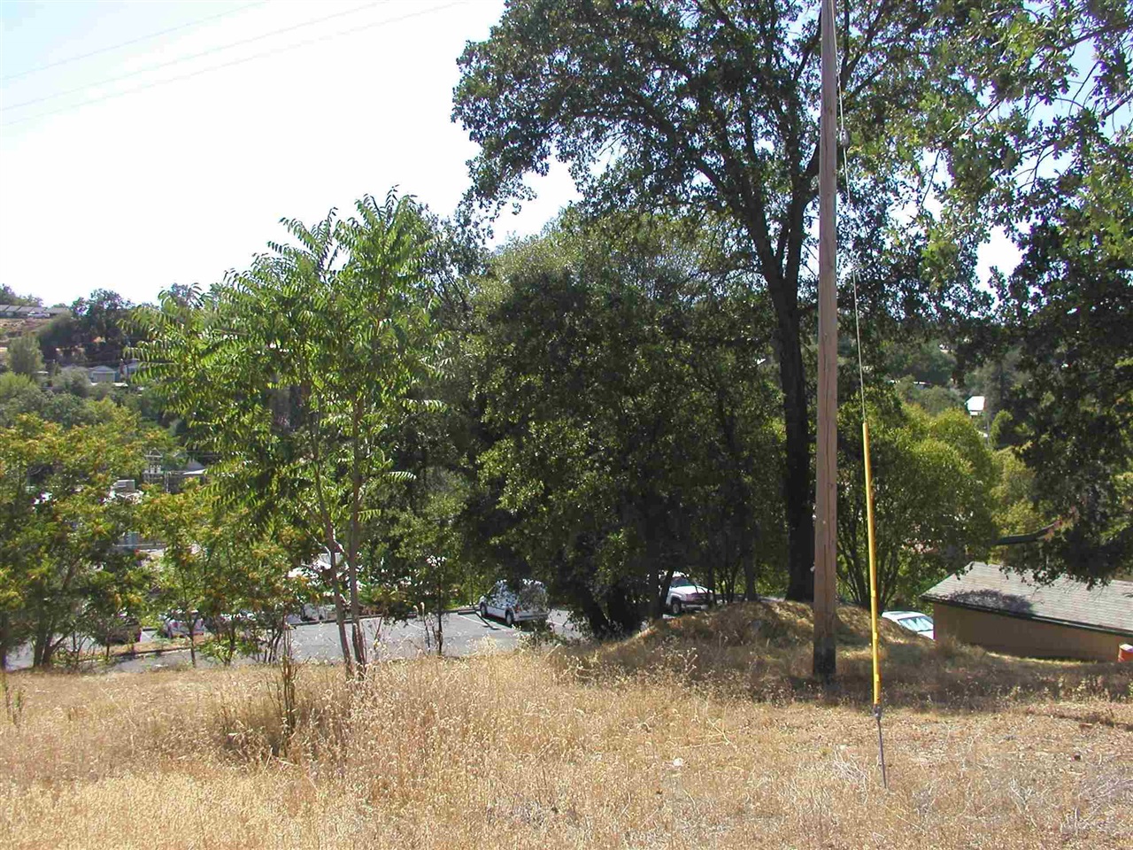 a view of outdoor space and yard