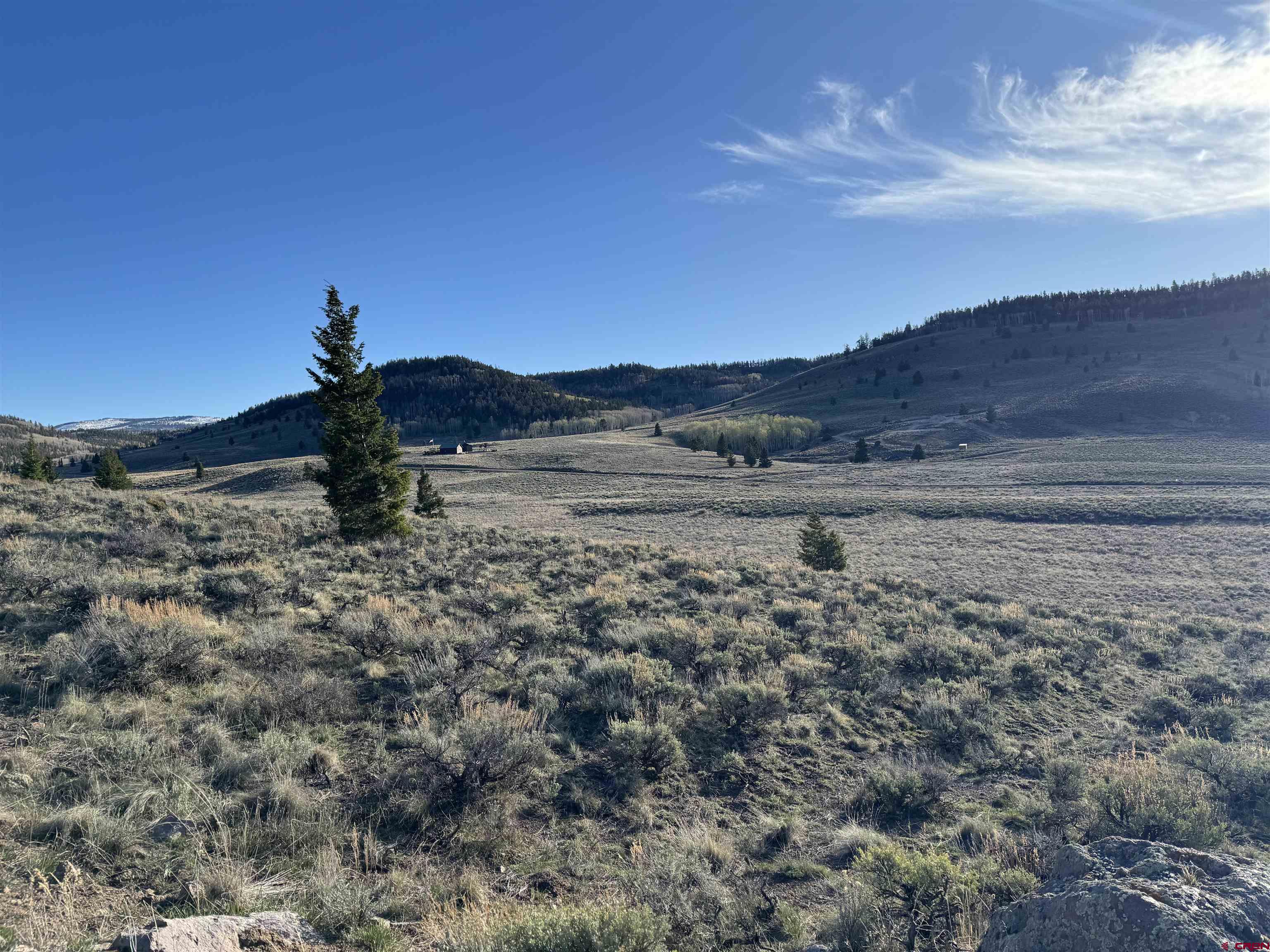 a view of a dry yard with mountain