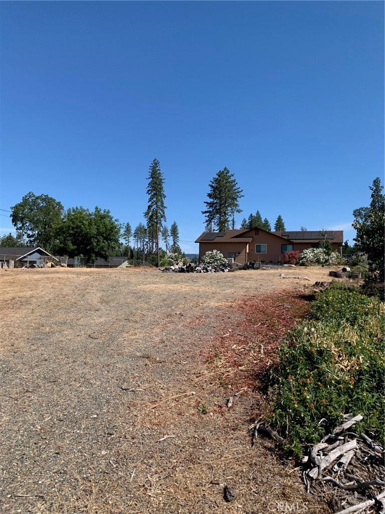 a view of a yard with a tree