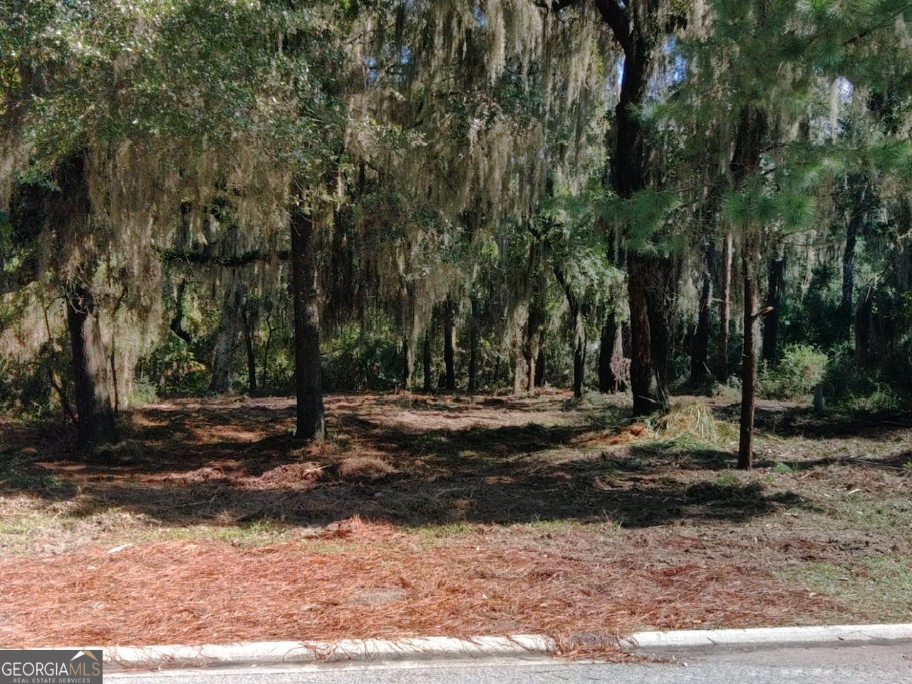 a view of a backyard of a house