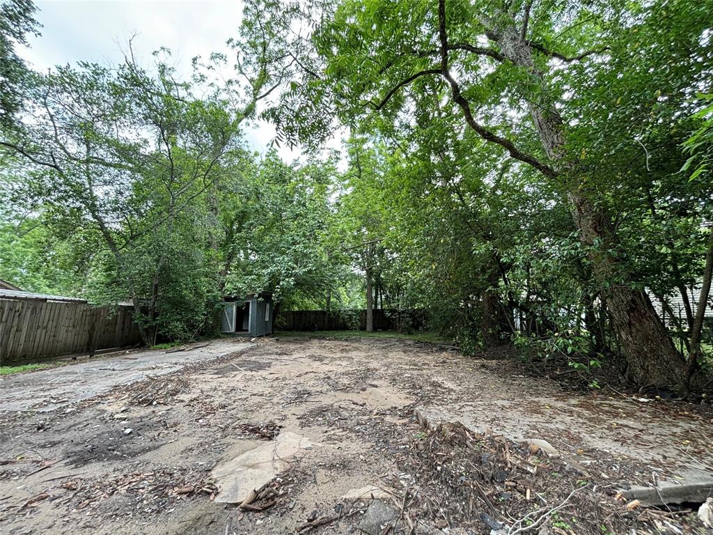 a view of a backyard with a trees