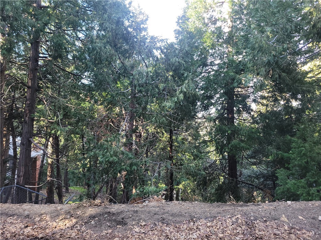 a view of a backyard with large trees