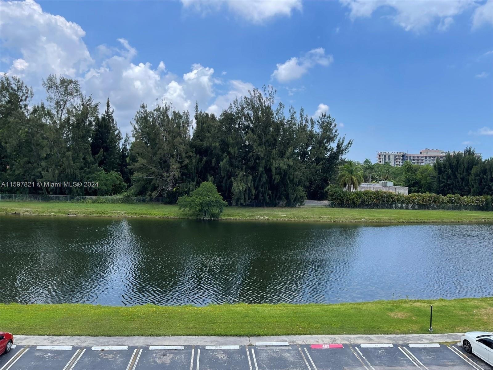 a view of a lake with a yard and a large tree