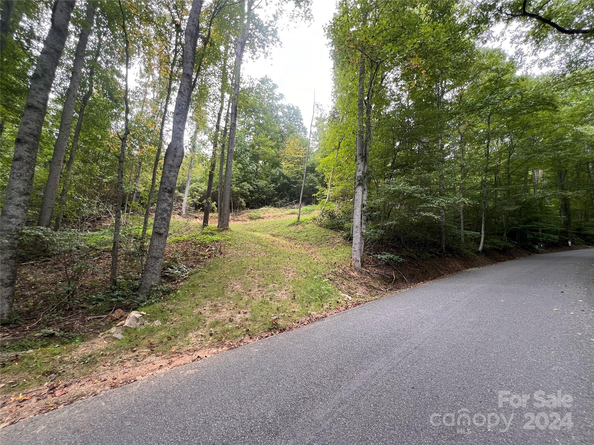 a view of a yard with trees