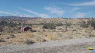 a view of a dry yard with lots of trees