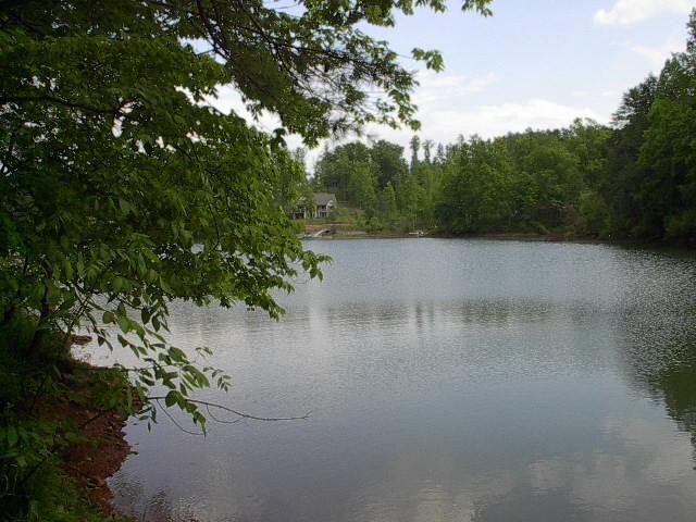 a view of a lake in a forest