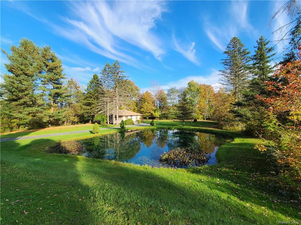 a view of a lake with houses in back