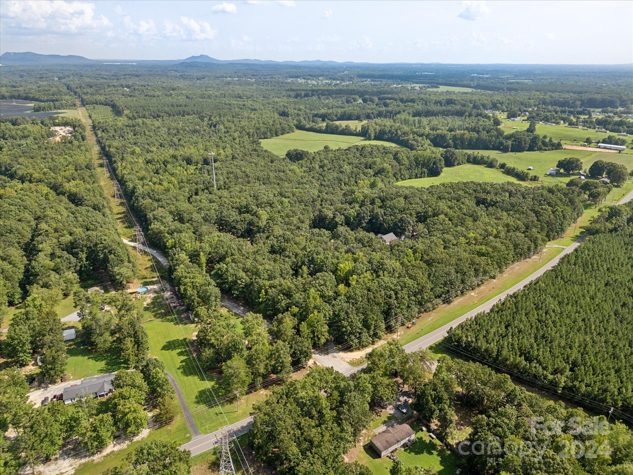 an aerial view of residential houses with outdoor space and trees