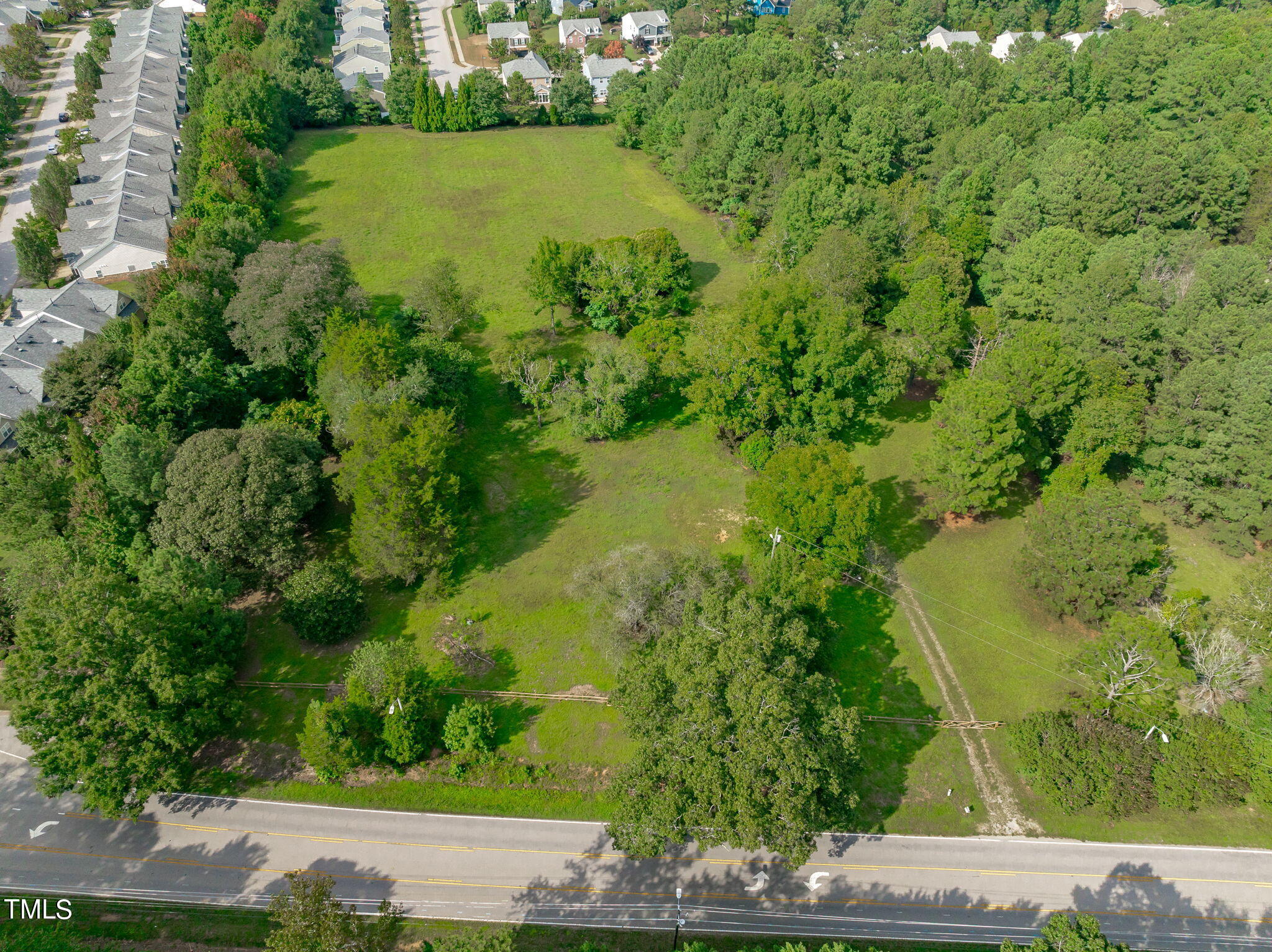 a view of a yard with plants and large trees