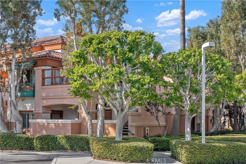 front view of a house with a tree