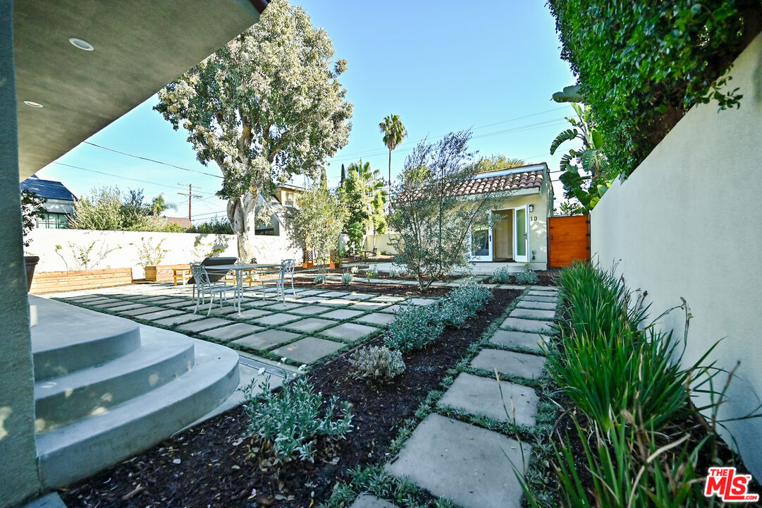 a view of a yard with plants