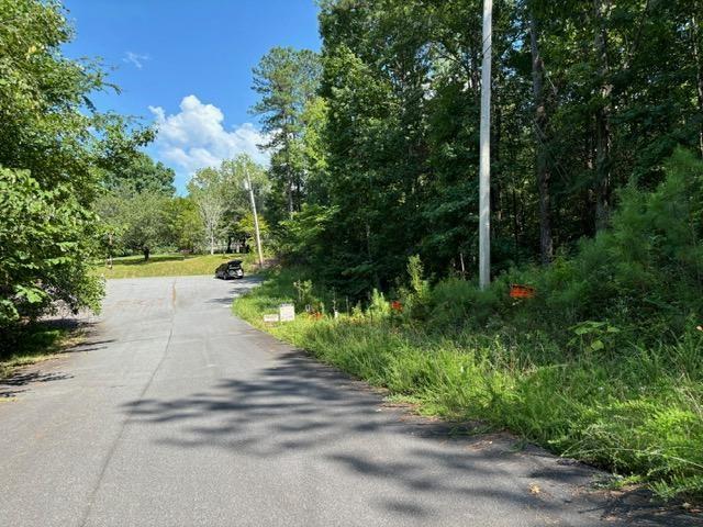 a view of a yard with plants and trees