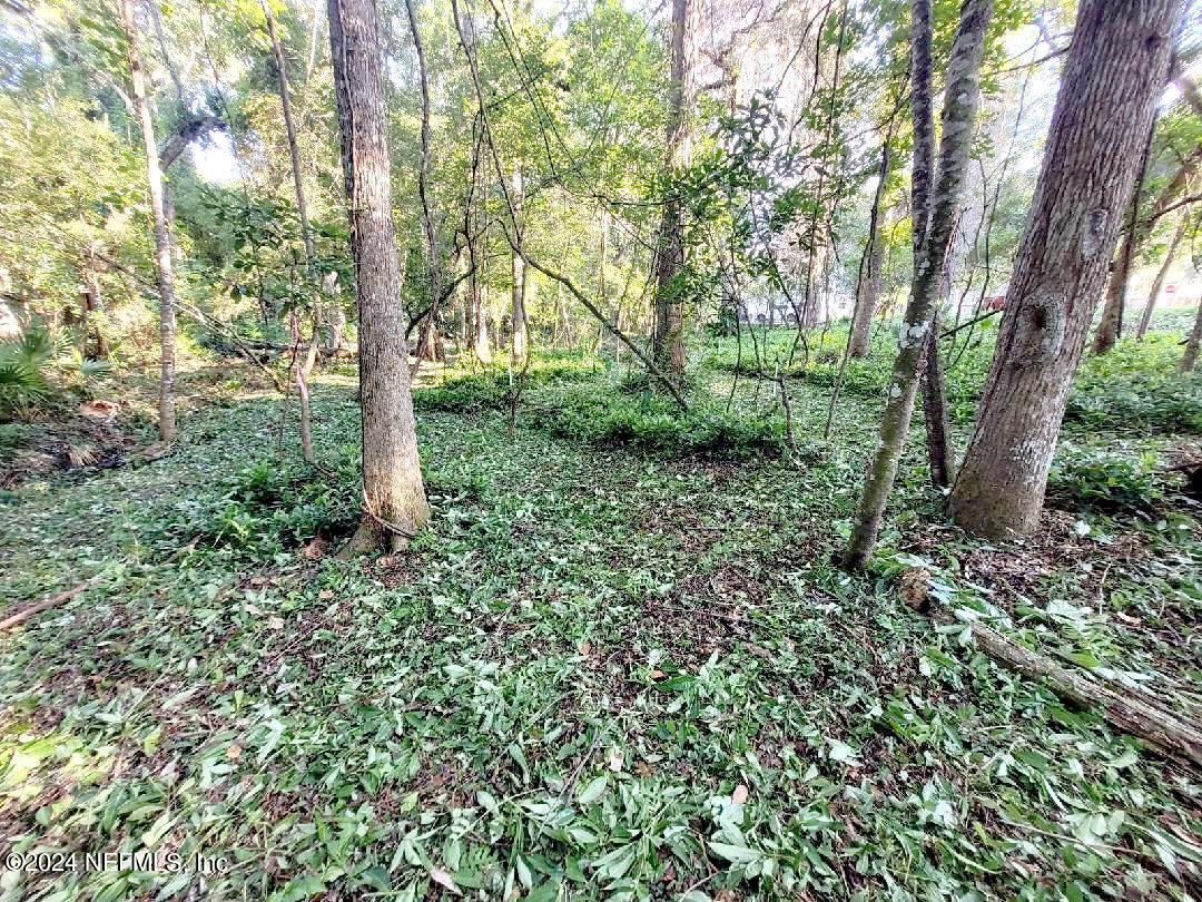 a big yard with lots of green space and house