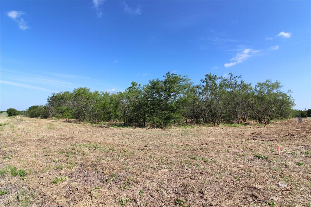 a view of empty yard with mountain