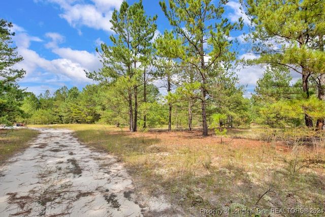 $39,900 | 2 B McKoy Town Road | Johnsonville Township - Harnett County