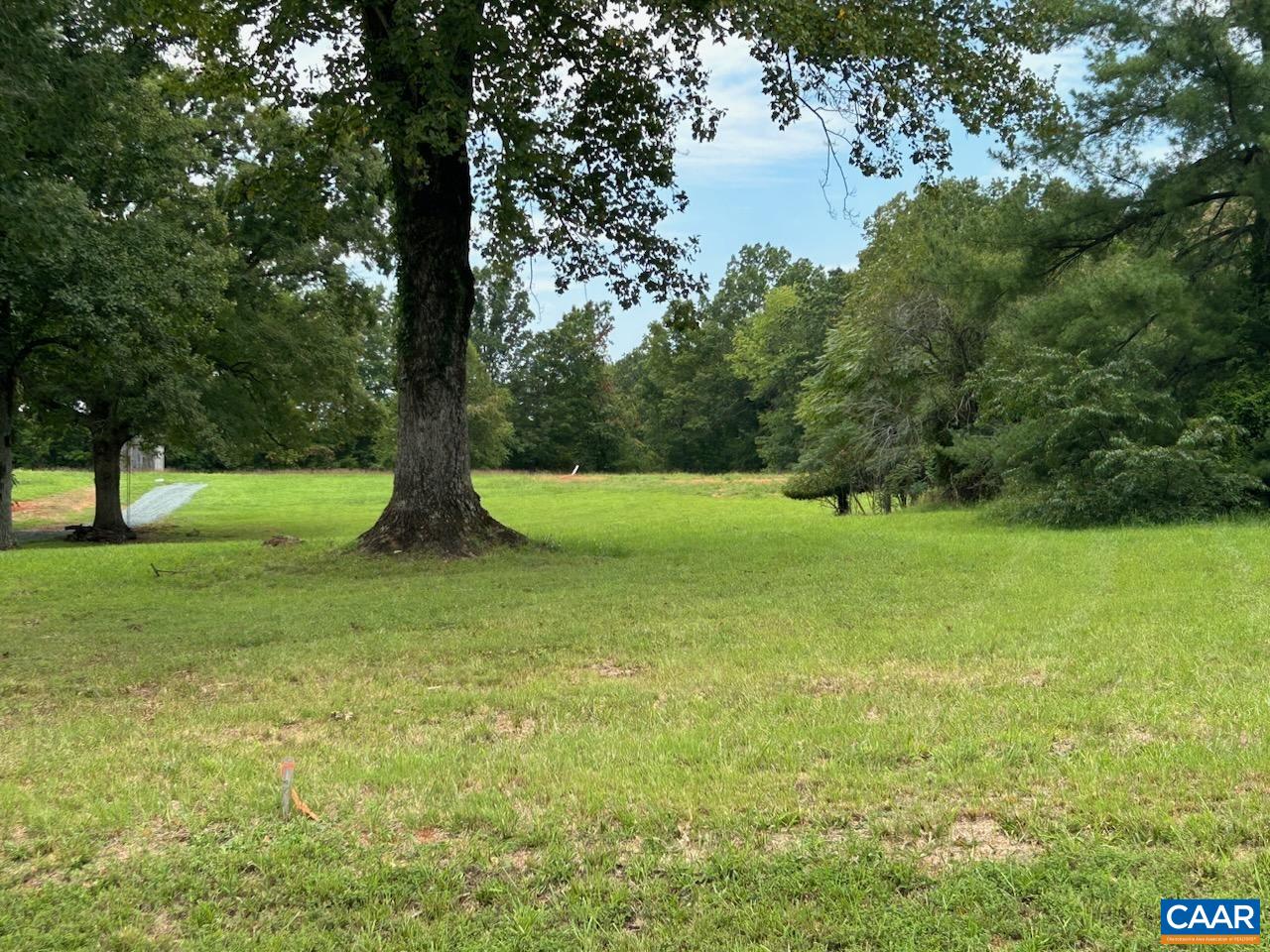 a view of outdoor space with garden and trees