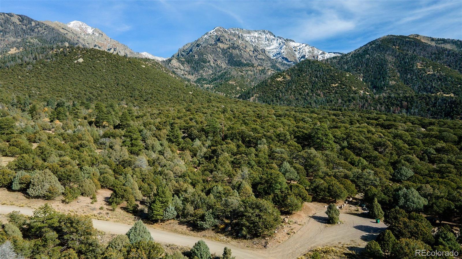 a view of a forest with a house