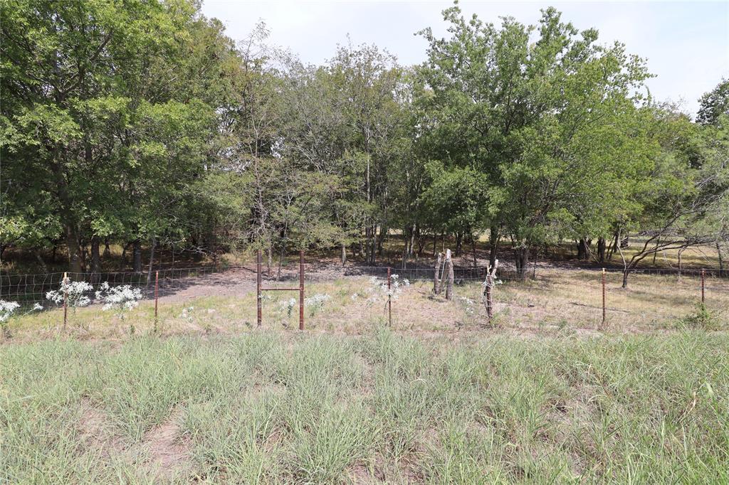 a view of back yard