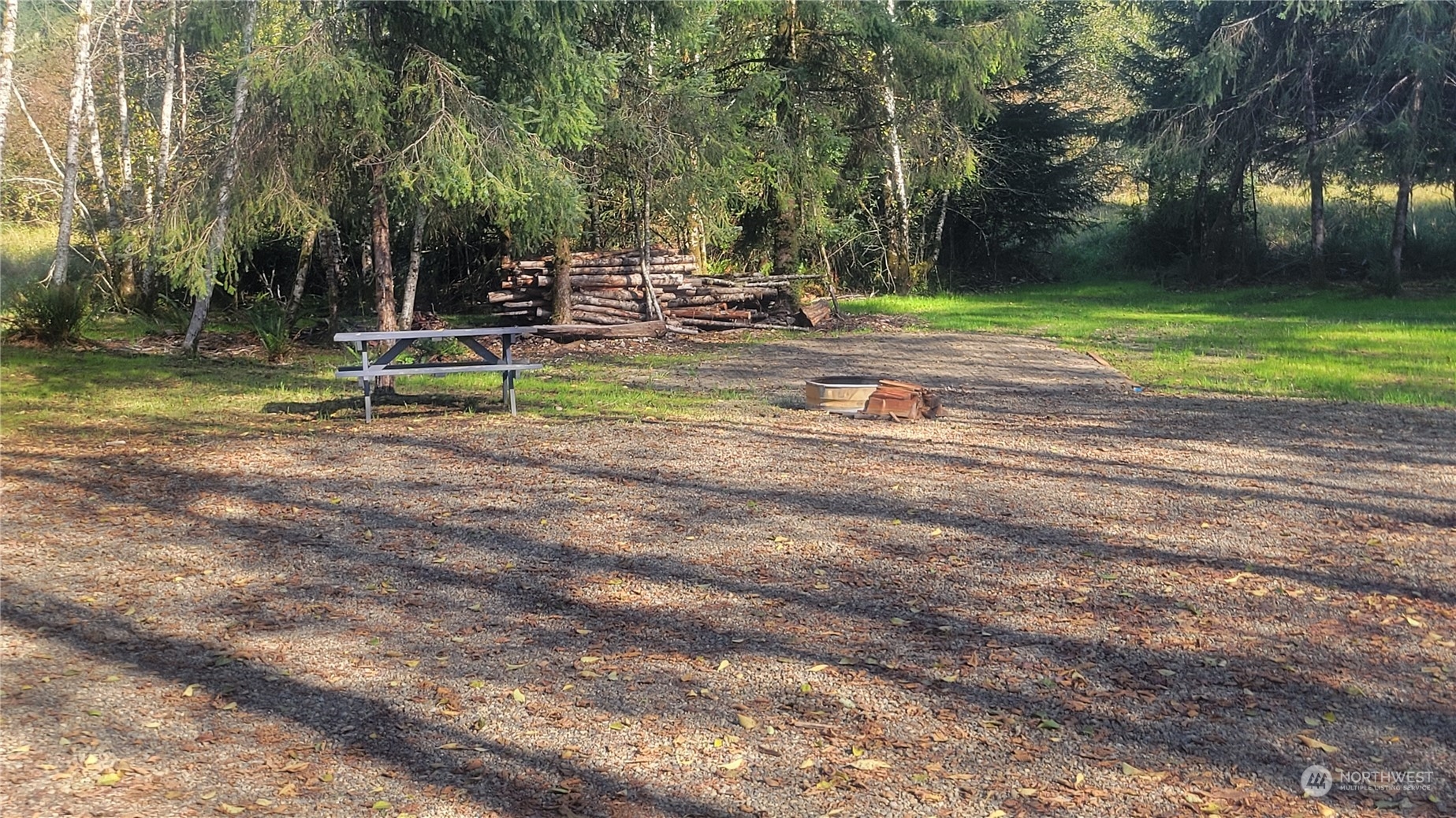 a view of a park with large trees