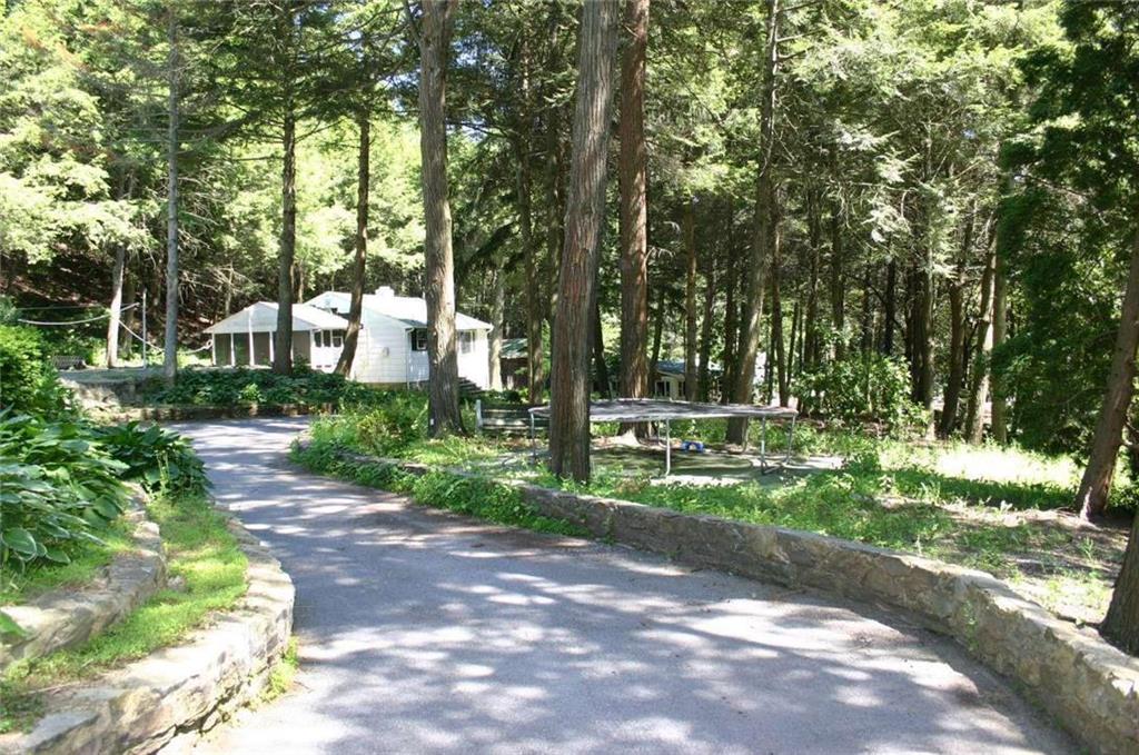 a view of a park with large trees