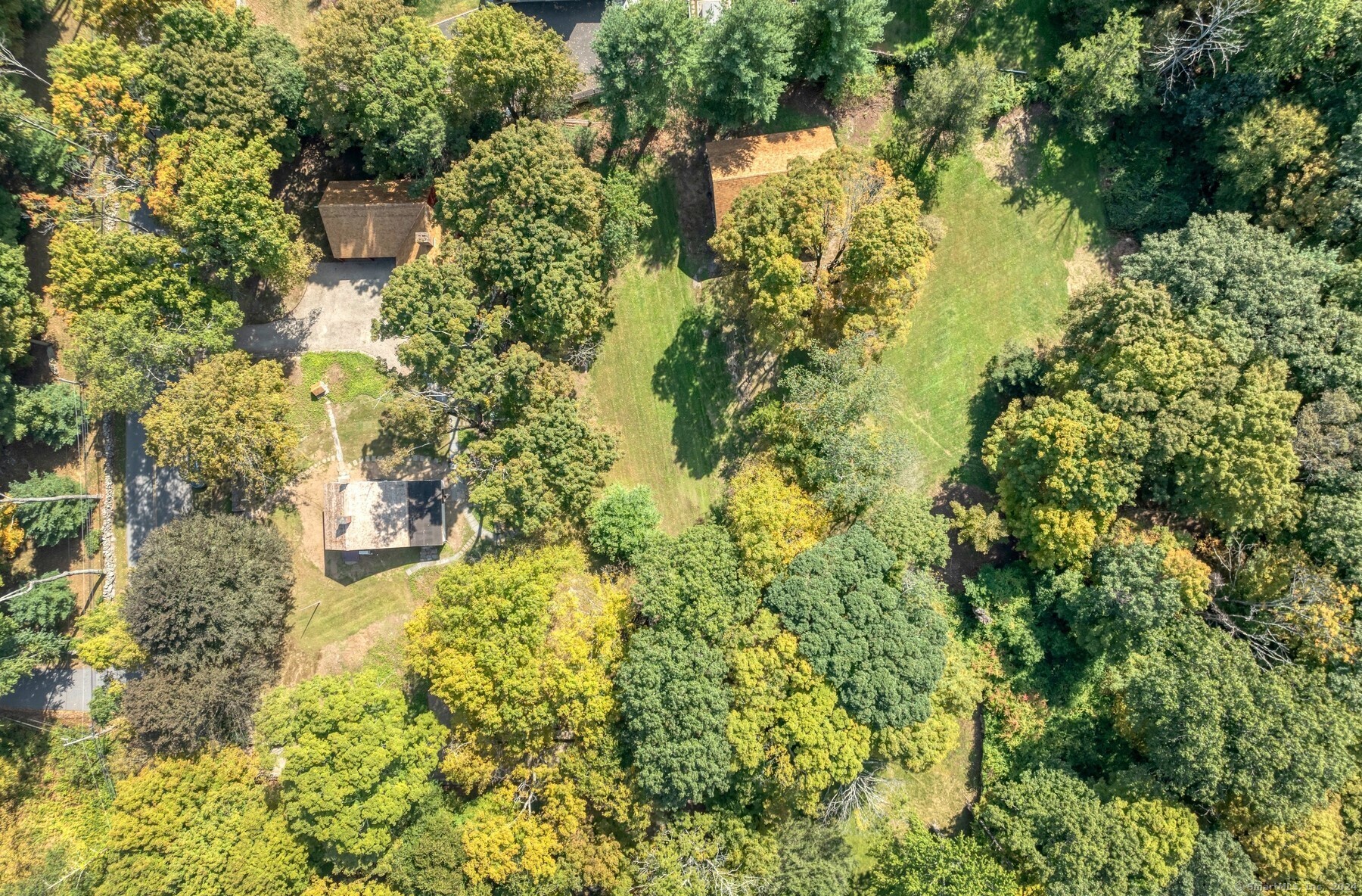 a view of a yard with plants