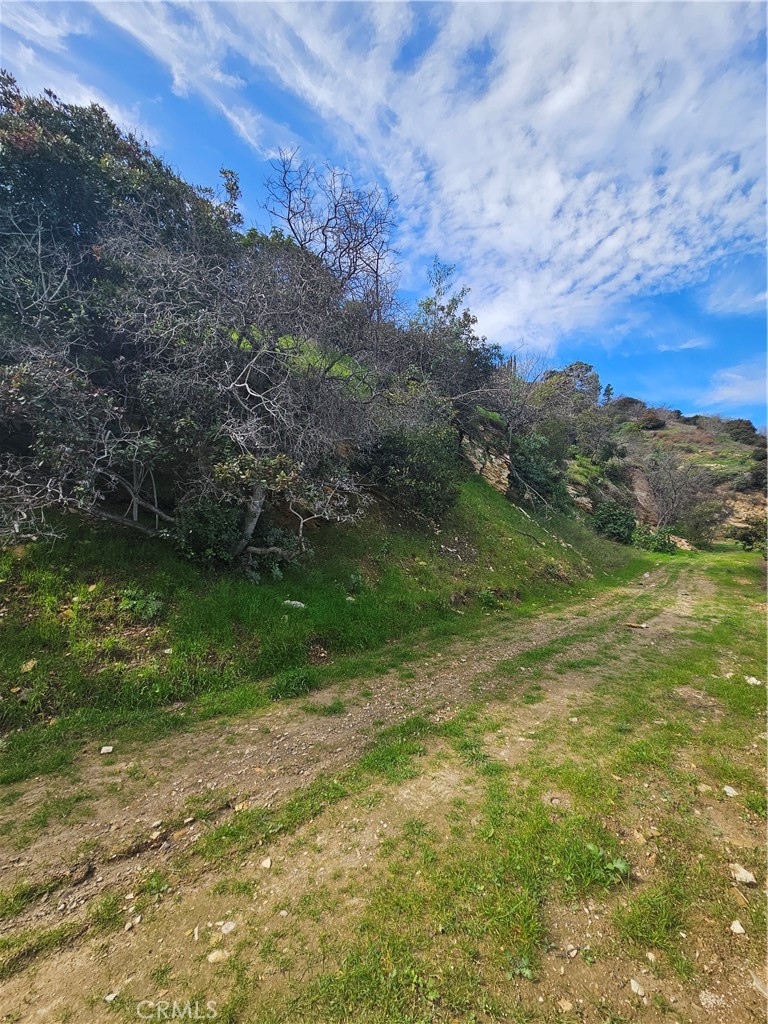 a view of a field with an ocean