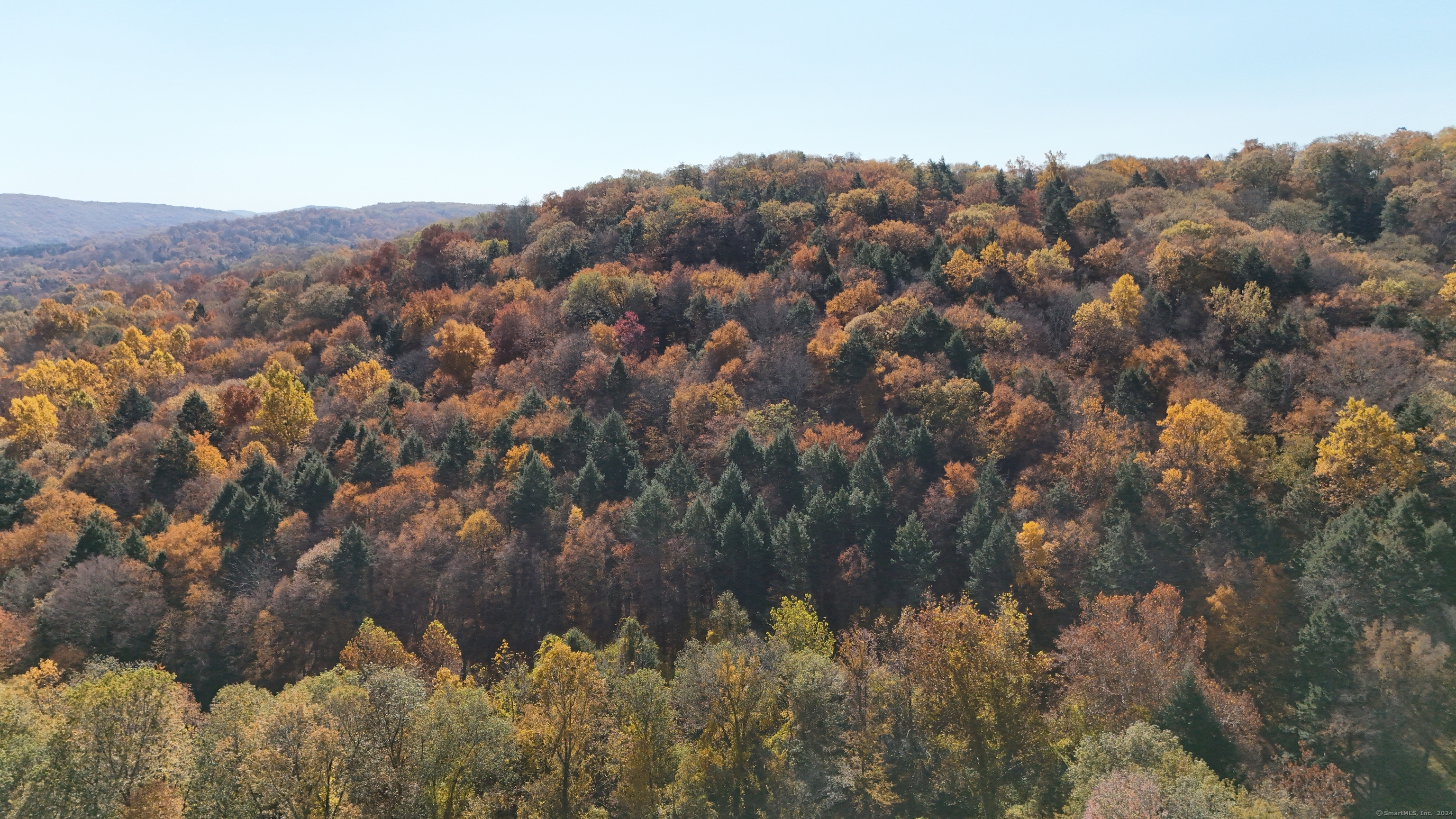 a view of a lot of trees and bushes