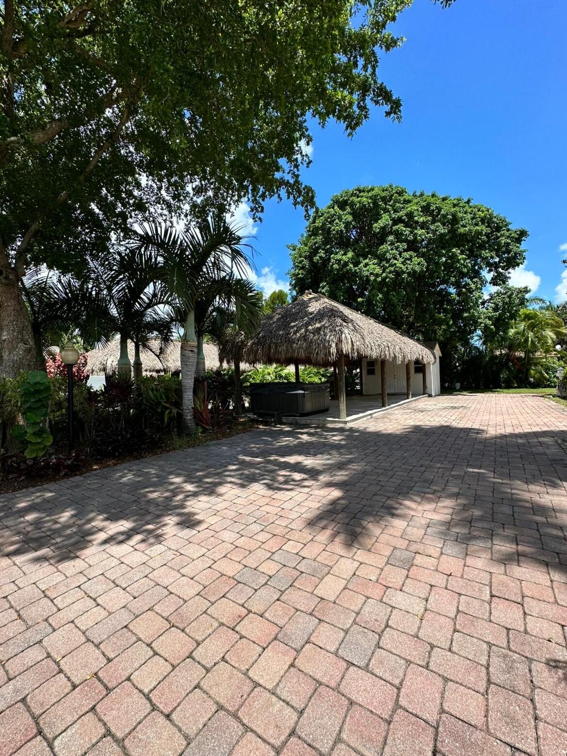 a view of a yard with plants and trees