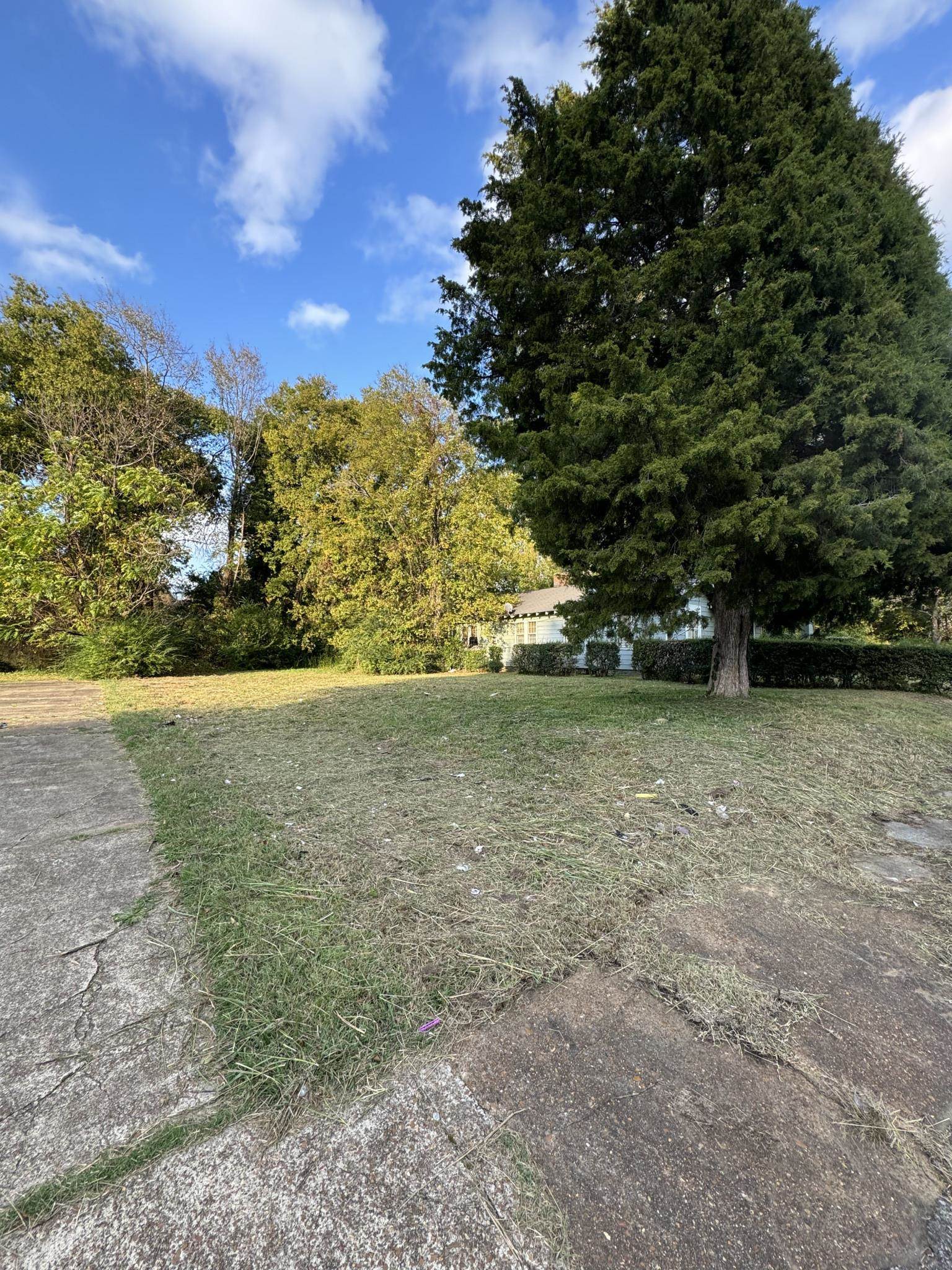 a view of outdoor space and yard