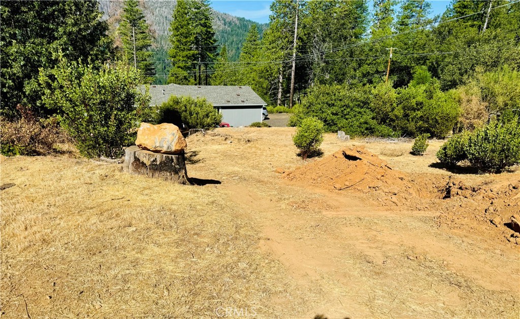 a view of back yard of the house