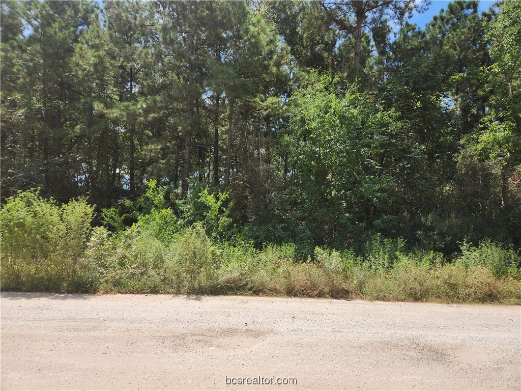 a view of road with trees