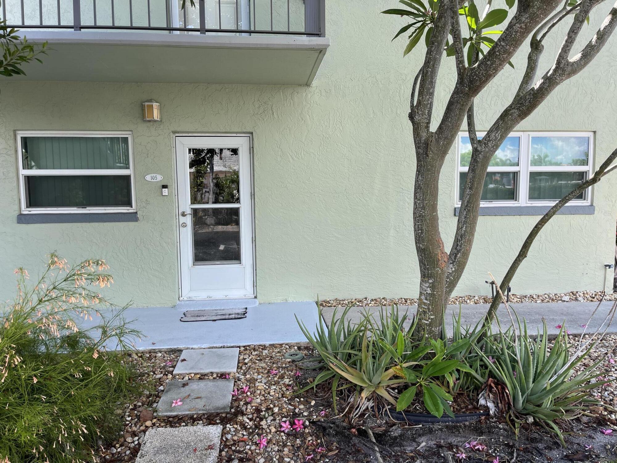 a potted plant sitting in front of a house