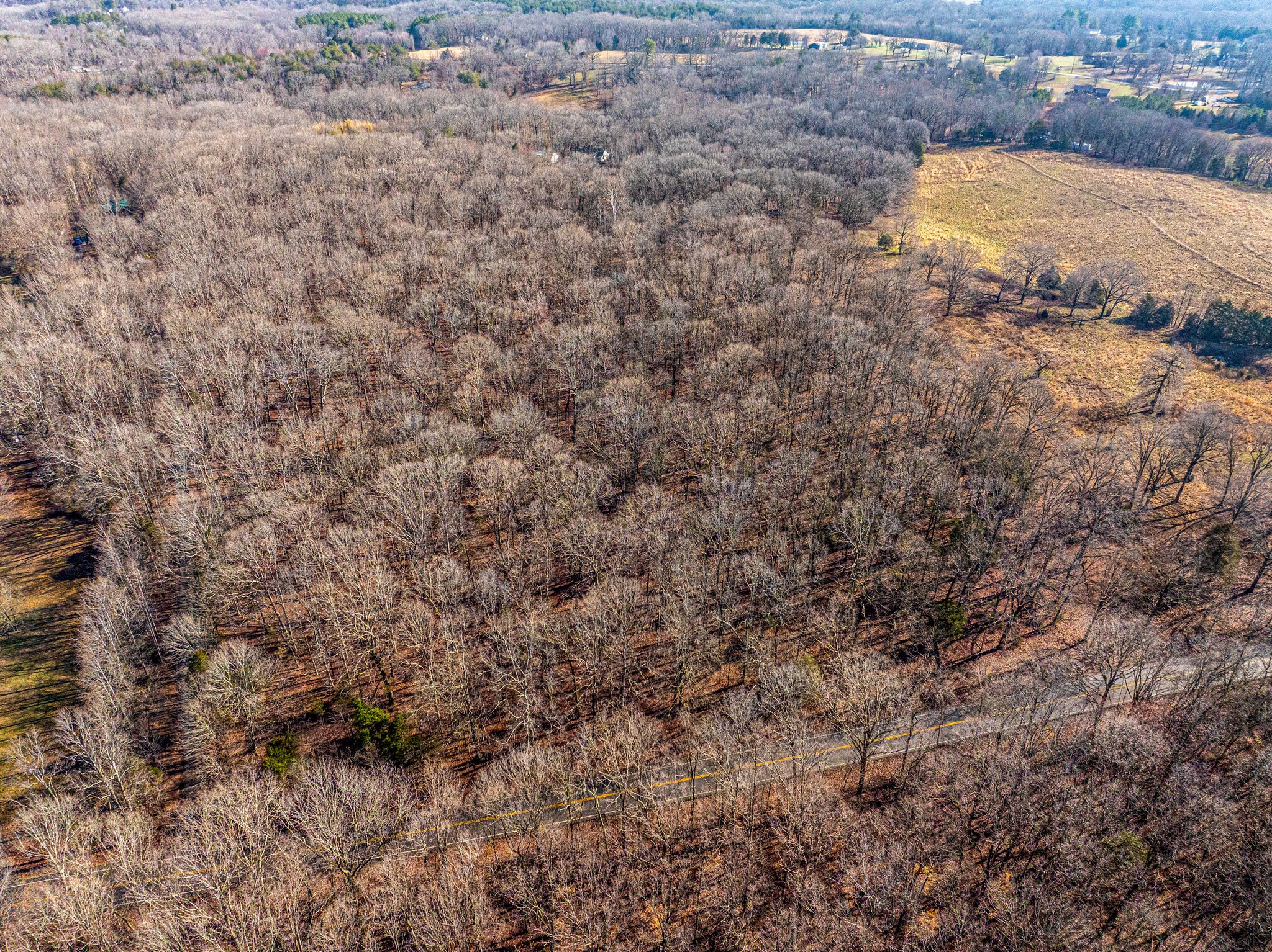 a view of a dry yard