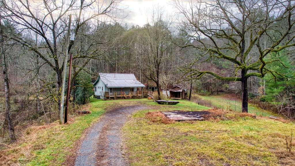 a house is sitting in middle of the forest