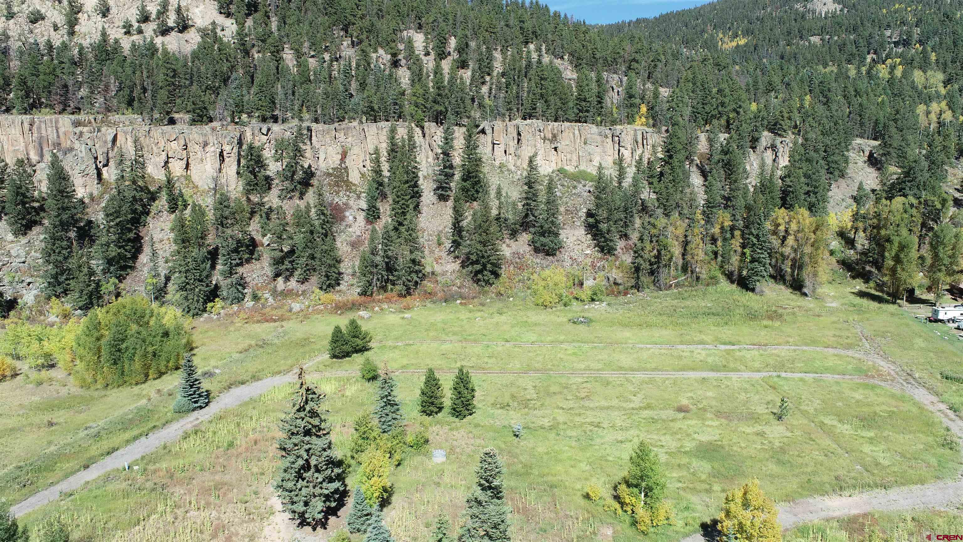 a view of a yard with trees