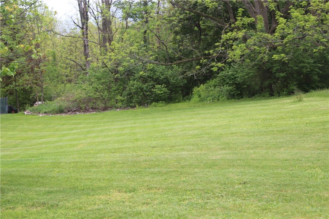 a view of a green yard