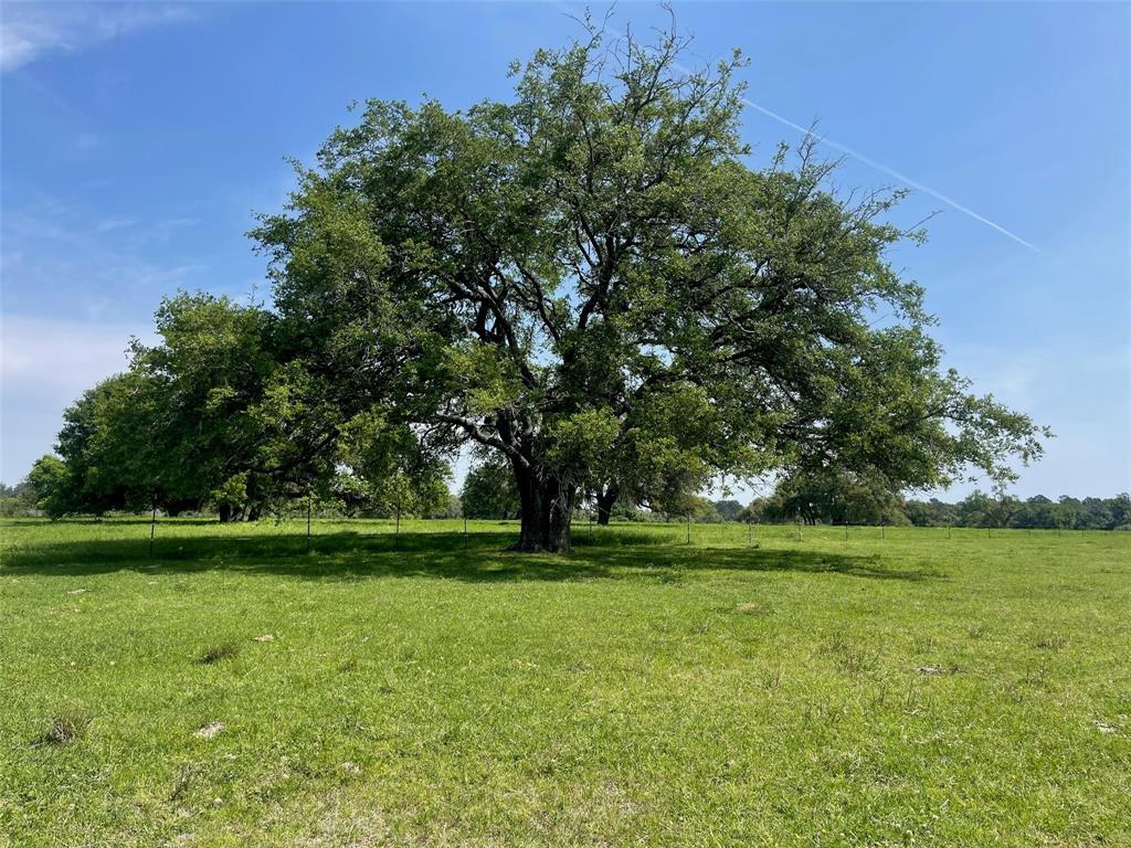 a view of a park