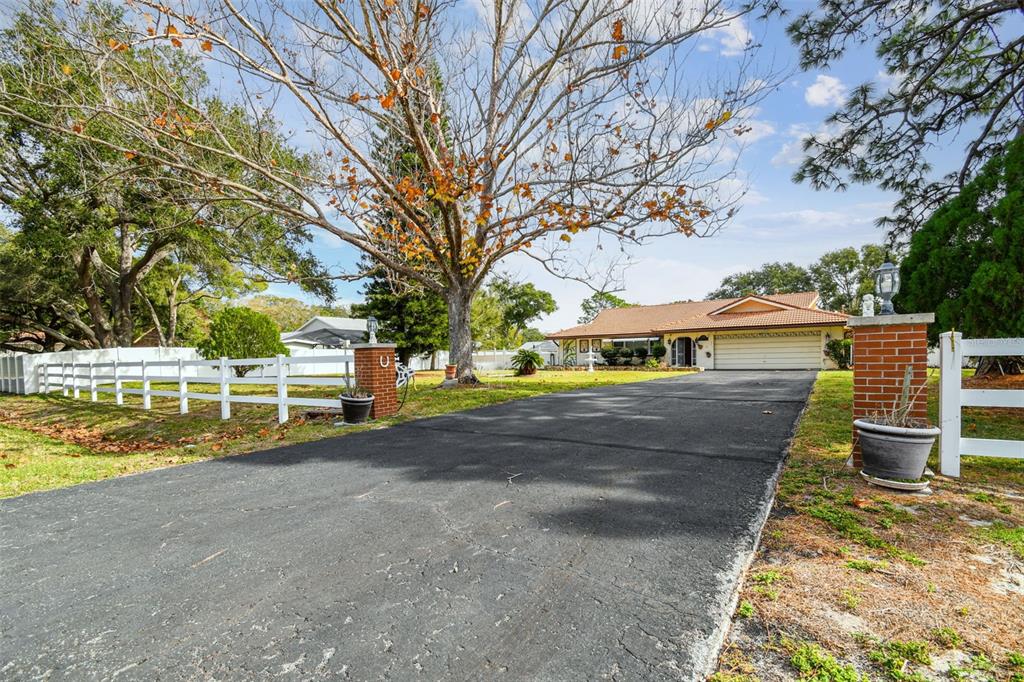 a view of yard with tree in front of it