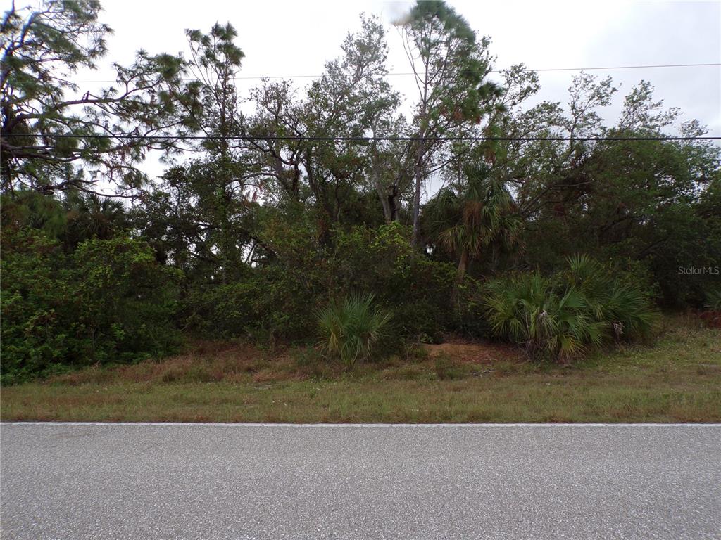 a view of a yard with a tree