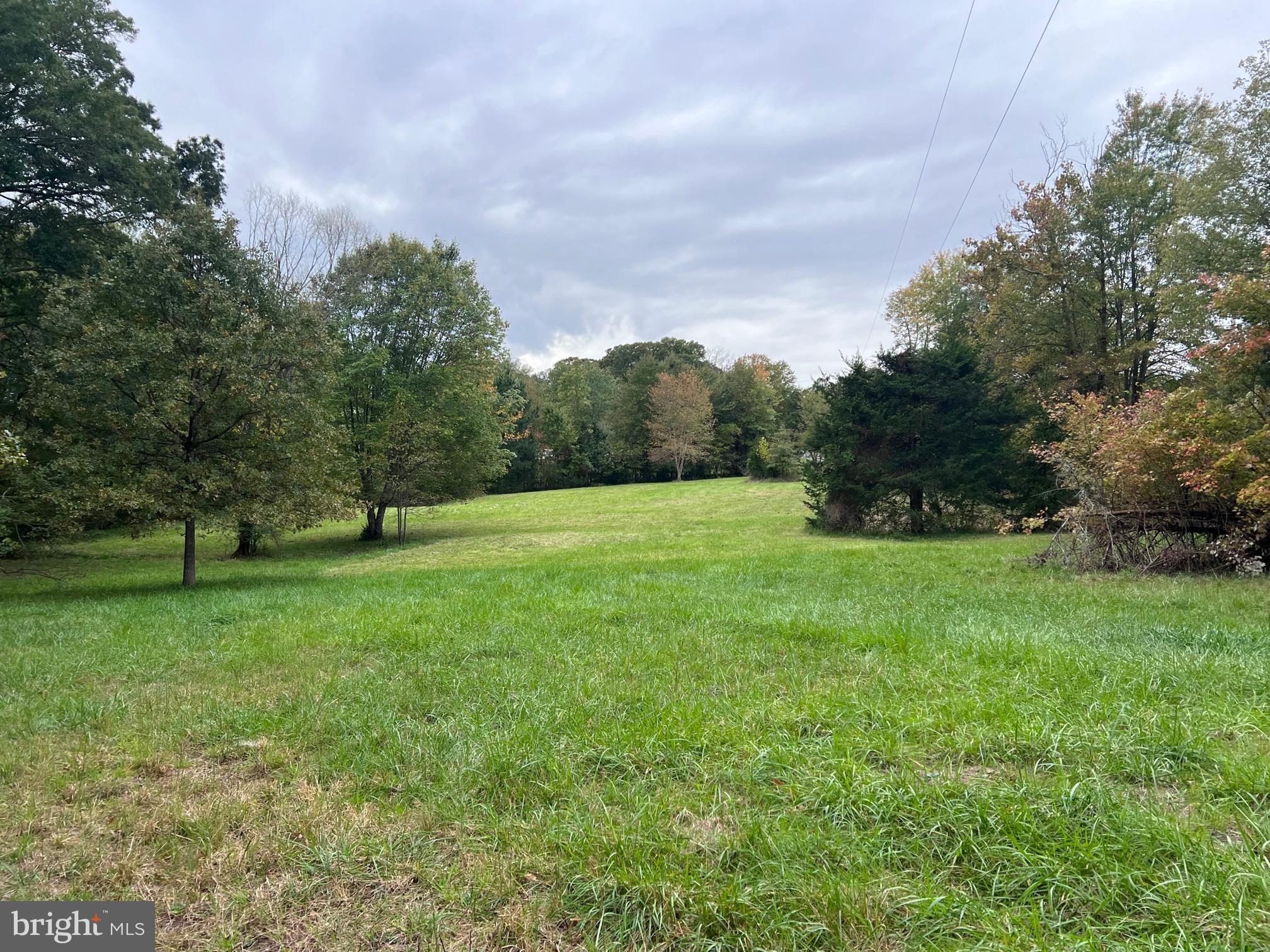 a view of a field with trees in the background