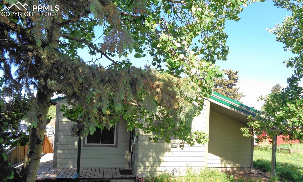 a tree in a yard of the house