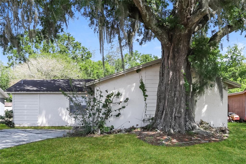 a view of backyard with a barn and large trees